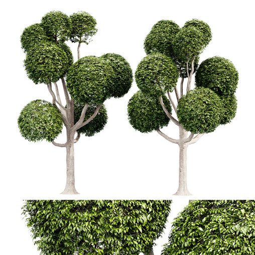Fancy shaped decorative tree