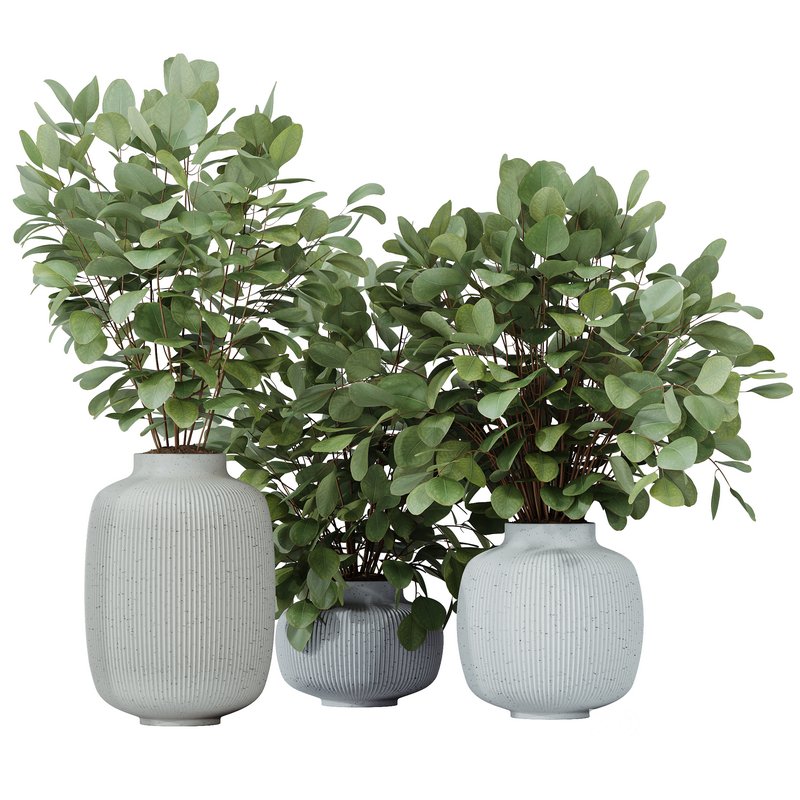 HQ HousePlants Branche Decorative Foliage Dollar Authentic Eucalyptus Bouquet Image 1