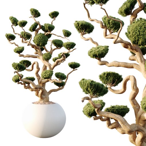 Potted sphere tree01