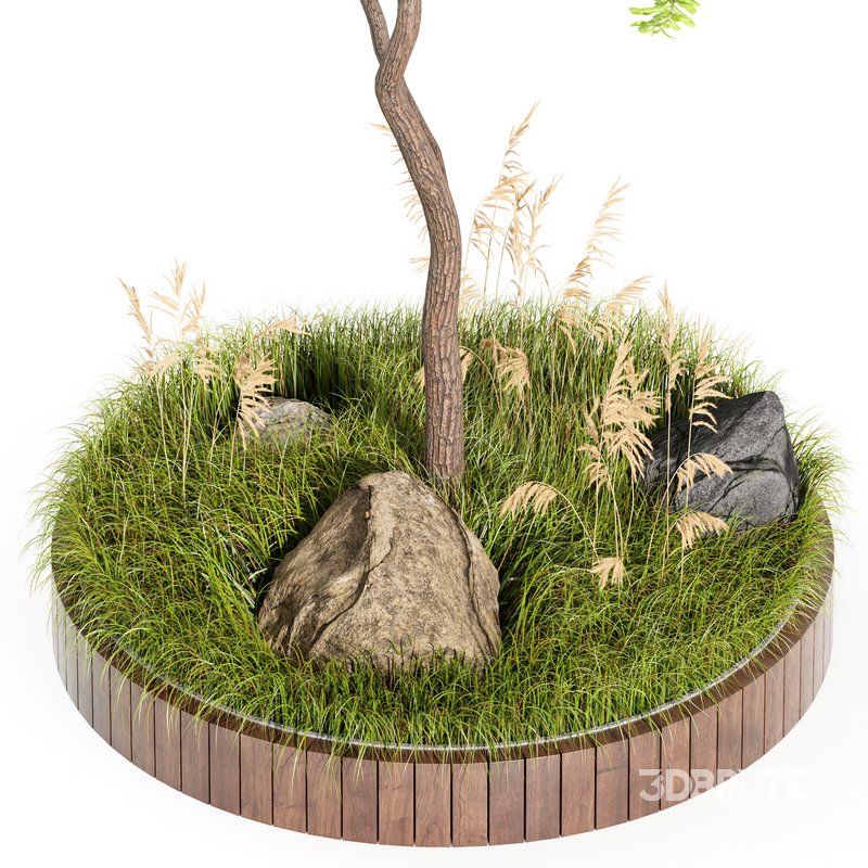 Outdoor Plant Set 001 – Plant Square Image 3