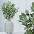 HQ HousePlants Branche Decorative Foliage Dollar Authentic Eucalyptus Bouquet - Thumbnail 2