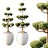 Potted sphere tree03 - Thumbnail 3