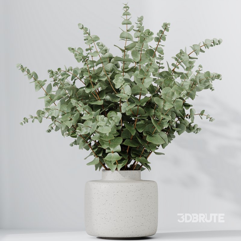HQ HousePlants Branche Decorative Foliage Dollar Authentic Eucalyptus Bouquet Set02 Image 2