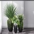 Indoor Artificial Office Plants Large Succulents - Thumbnail 5