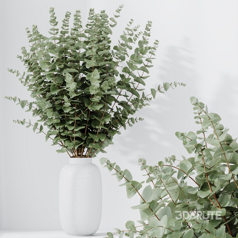 HQ HousePlants Branche Decorative Foliage Dollar Authentic Eucalyptus Bouquet Set02 Image 3