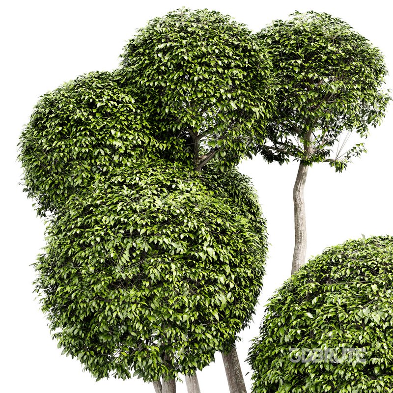 Fancy shaped decorative tree Image 3