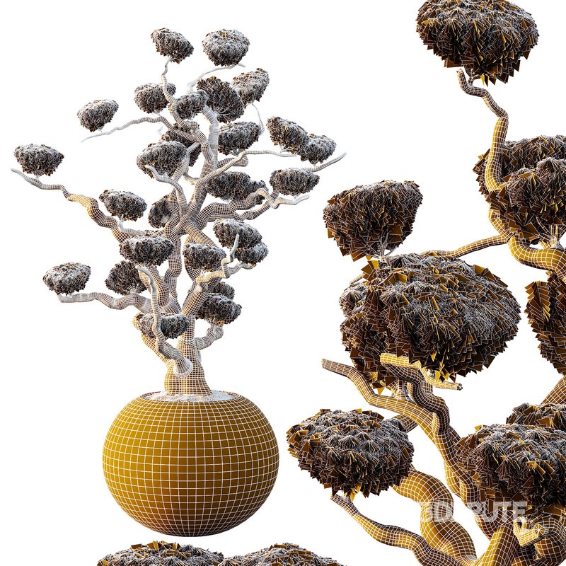 Potted sphere tree01 Image 2