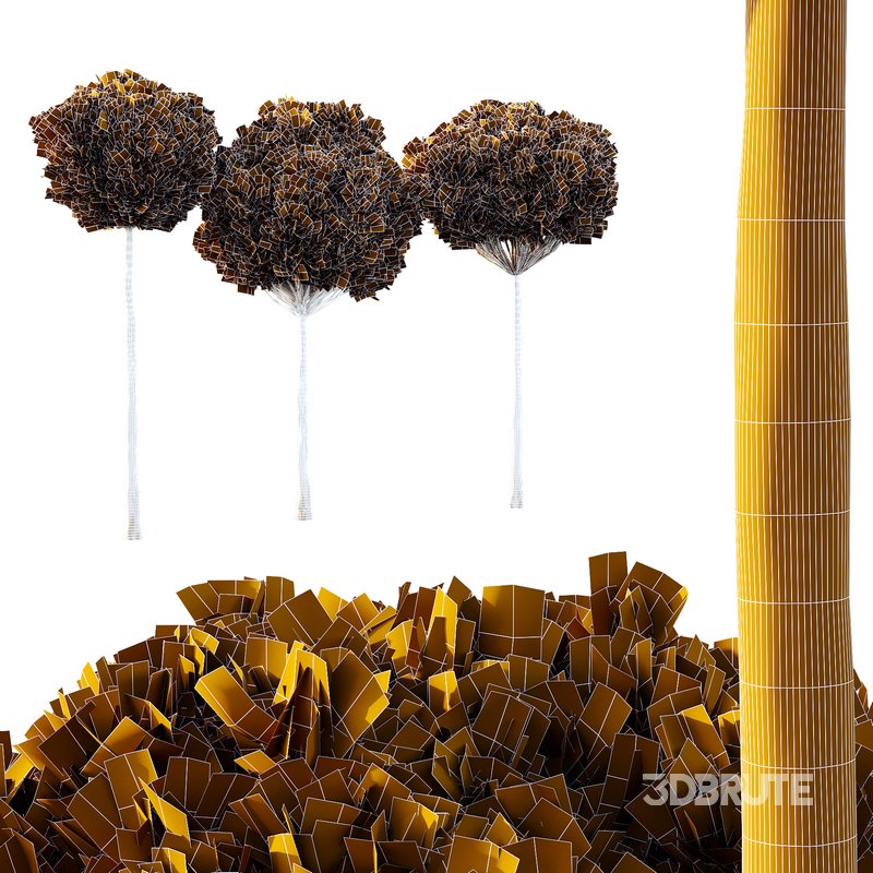 Italian Cypress Tree 15 Image 3