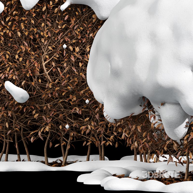 Dwarf Yaupon Holly Winter Image 3