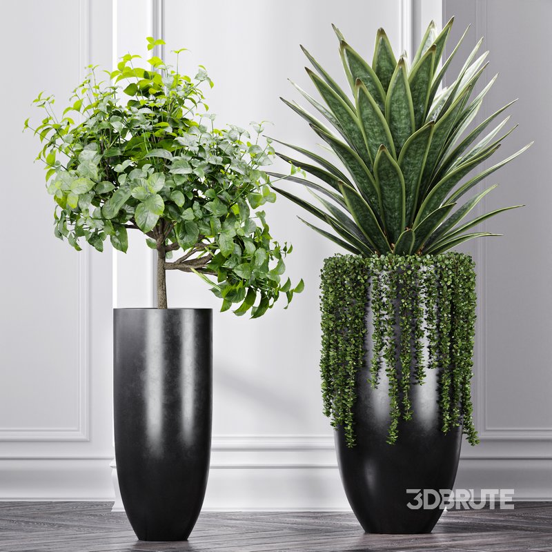 Indoor Artificial Office Plants Large Succulents Image 6