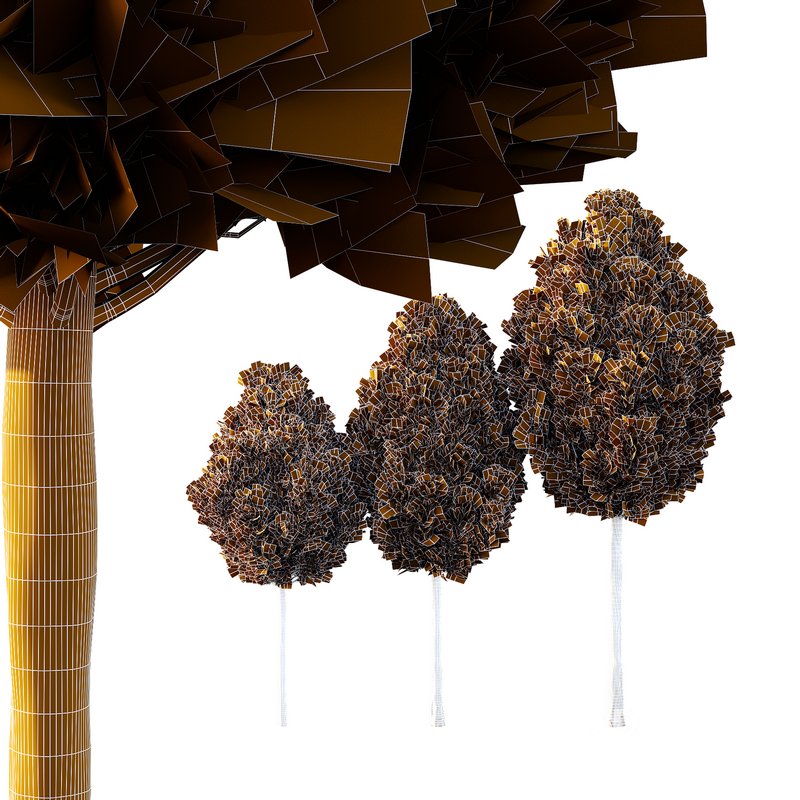 Italian Cypress Tree 18 Image 3