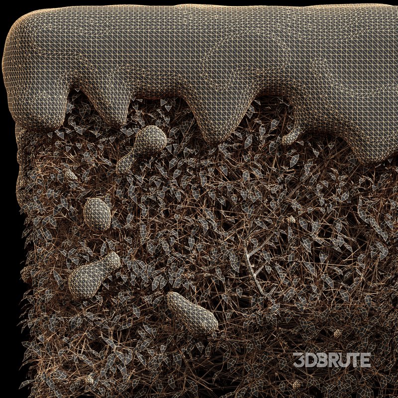 Dwarf Yaupon Holly Winter Image 4