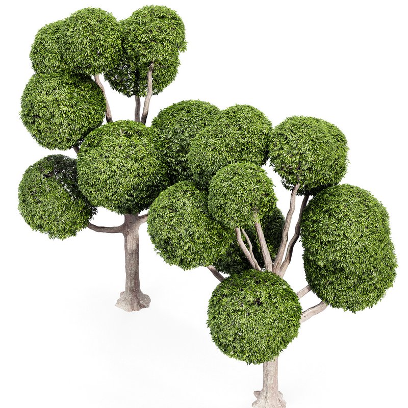 Fancy shaped decorative tree Image 4