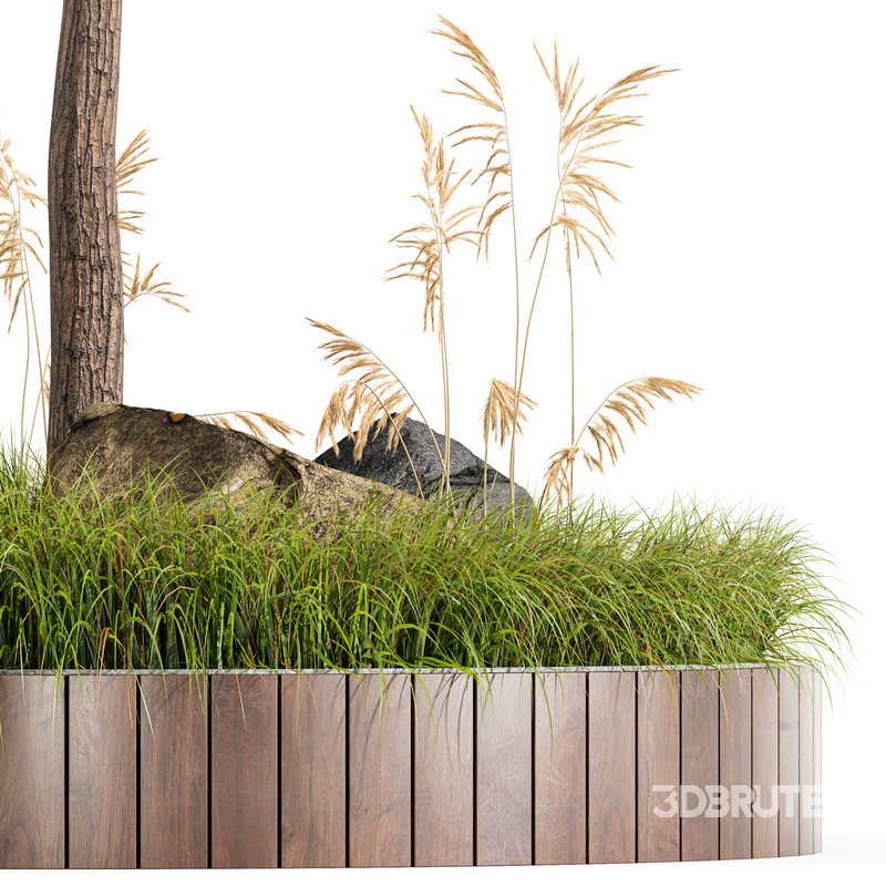 Outdoor Plant Set 001 – Plant Square Image 5