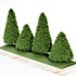 2 Different tree Cone shaped green coniferous - Thumbnail 2