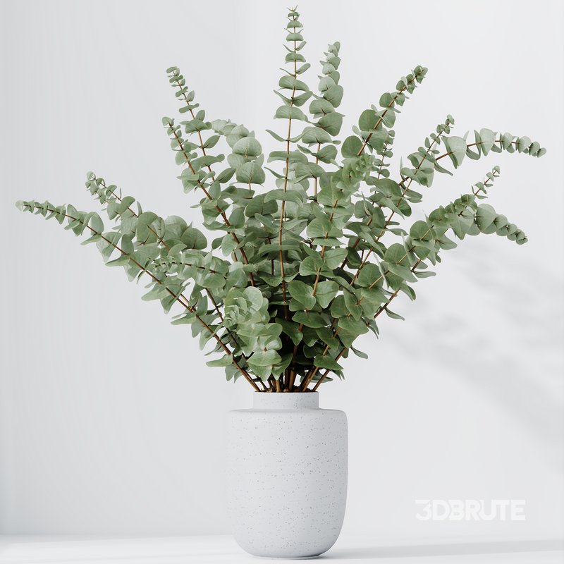 HQ HousePlants Branche Decorative Foliage Dollar Authentic Eucalyptus Bouquet Set02 Image 4