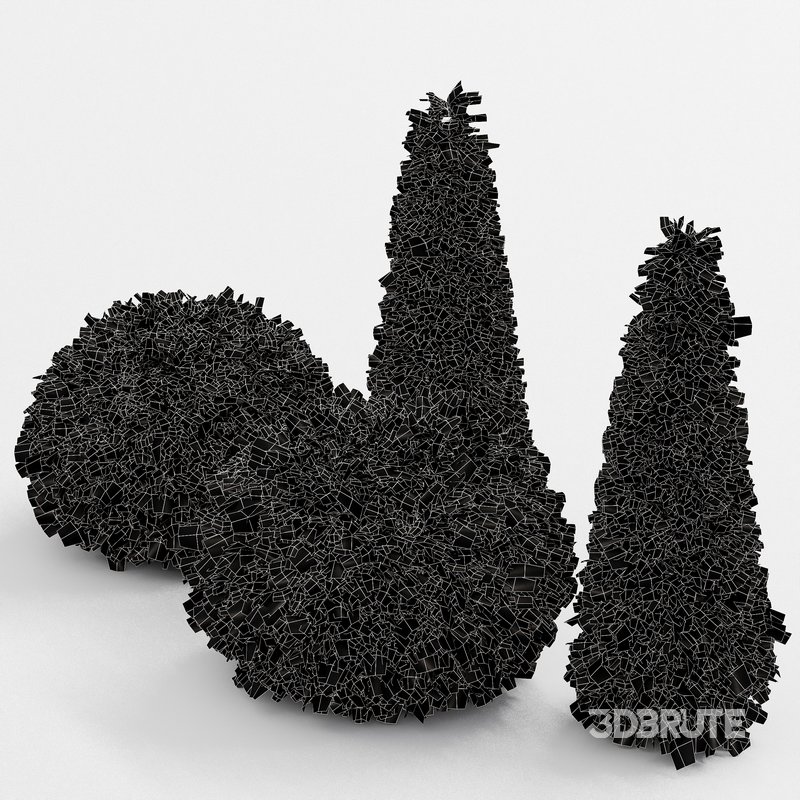 Evergreen Shrubs Golden Globe Dwarf Thuja Image 5