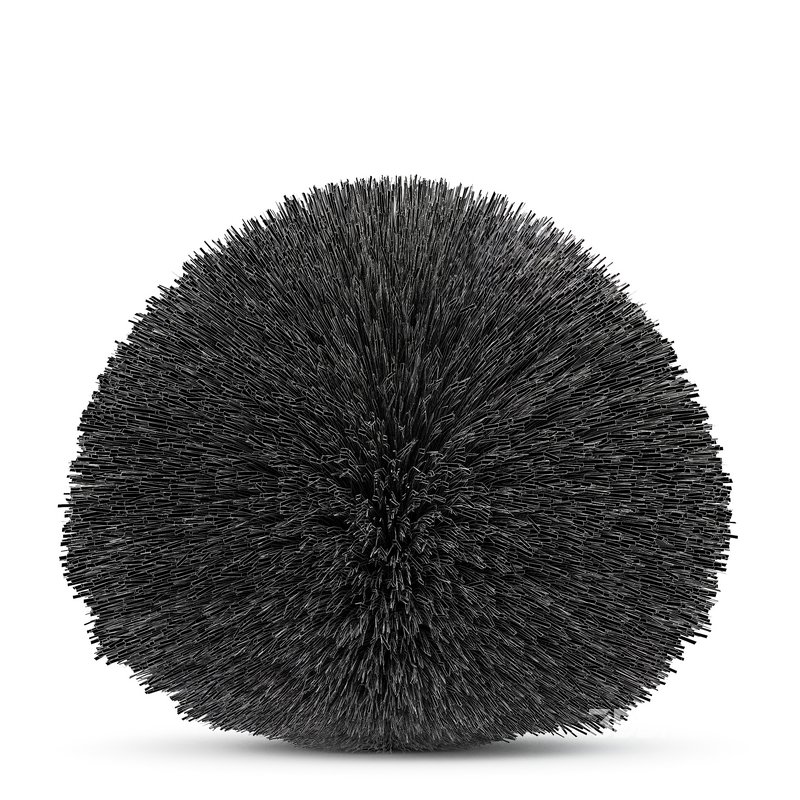 description Maiden Grass Miscanthus sinensis Gracillimus Tuin Grassen Image 4