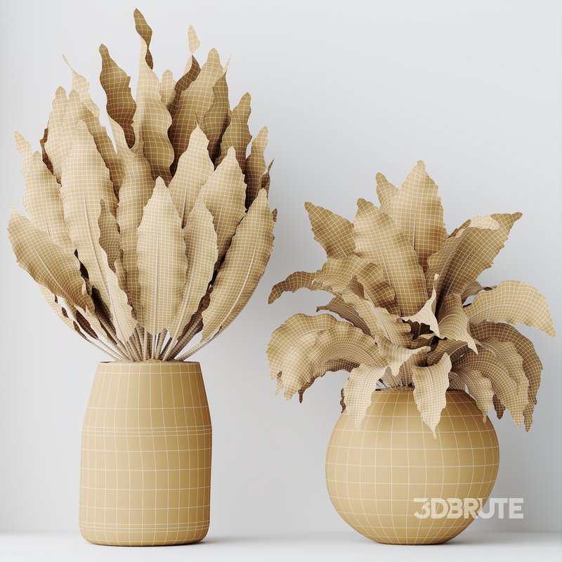 HQ HousePlants Spathiphyllum Wallisii Bellini Peace Lily Domino Set04 Image 5