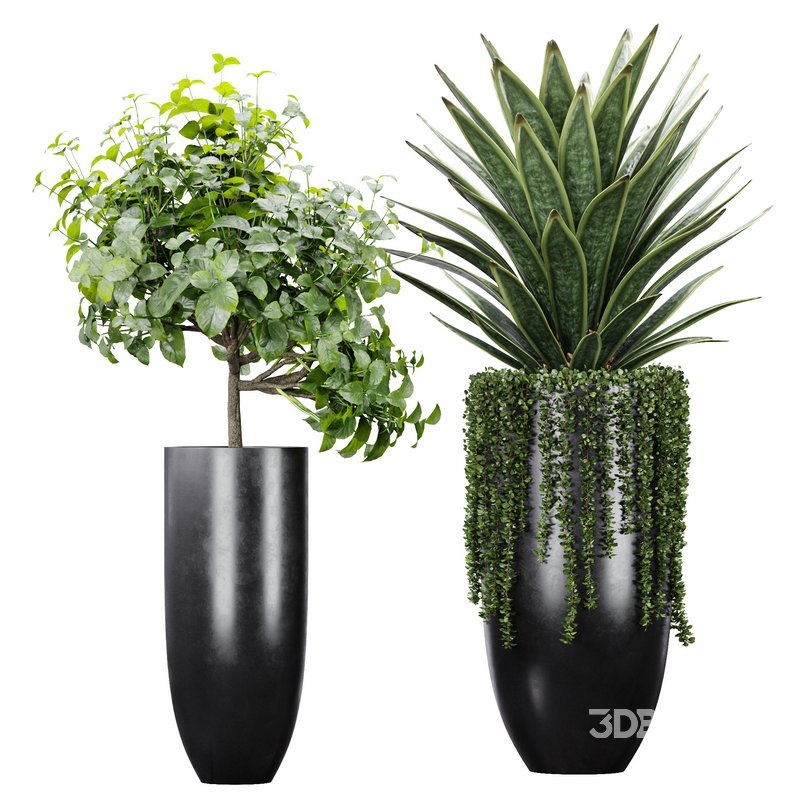 Indoor Artificial Office Plants Large Succulents Image 2