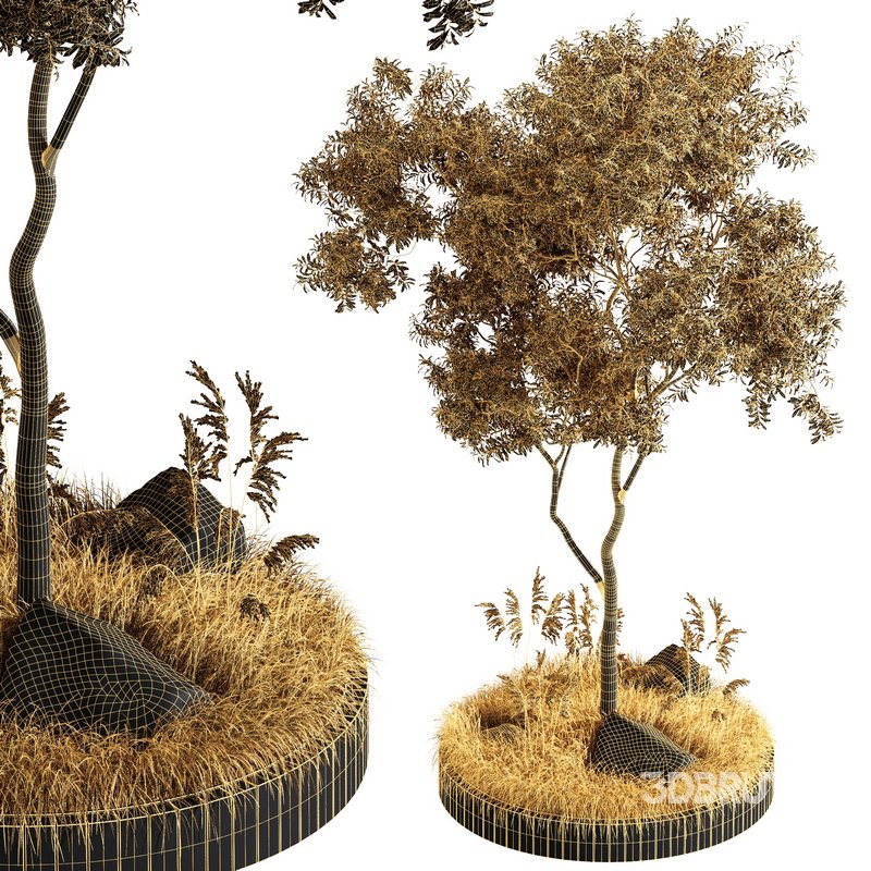 Outdoor Plant Set 001 – Plant Square Image 4