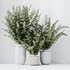 HQ HousePlants Branche Decorative Foliage Dollar Authentic Eucalyptus Bouquet Set02 - Thumbnail 5