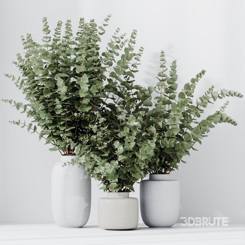 HQ HousePlants Branche Decorative Foliage Dollar Authentic Eucalyptus Bouquet Set02 Image 5