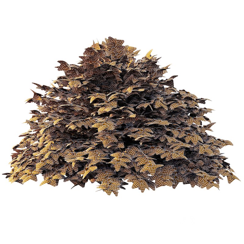 Cypress Bush 01 Image 6