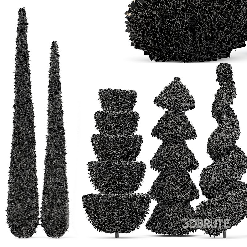 Beloved Italian Cypress 5 trees ideas Image 4