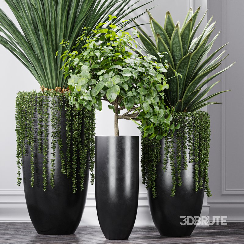 Indoor Artificial Office Plants Large Succulents Image 10