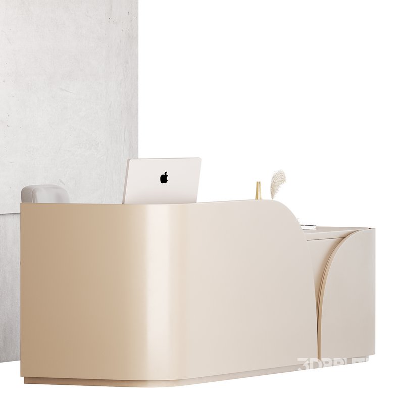 Contemporary Reception 12 Image 9