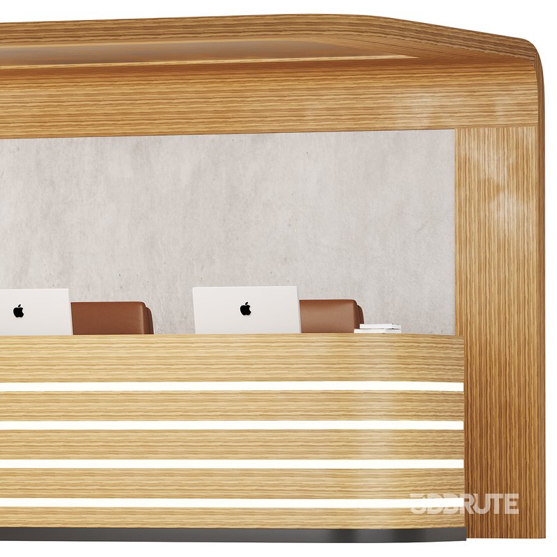 Contemporary Reception 14 Image 10