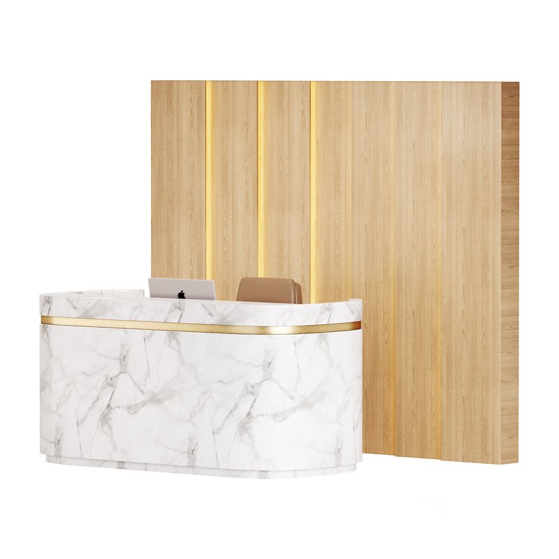 Contemporary Reception 20 Image 9