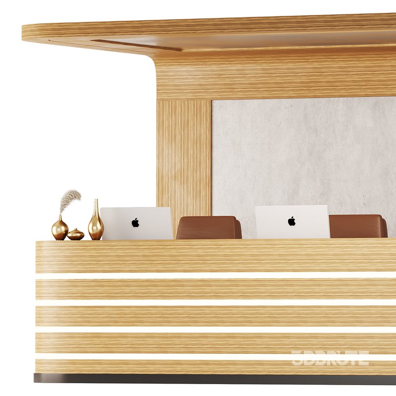 Contemporary Reception 14 Image 12