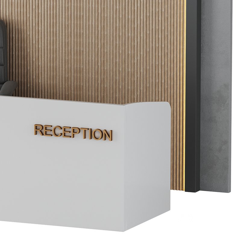 Contemporary Reception 03 Image 11