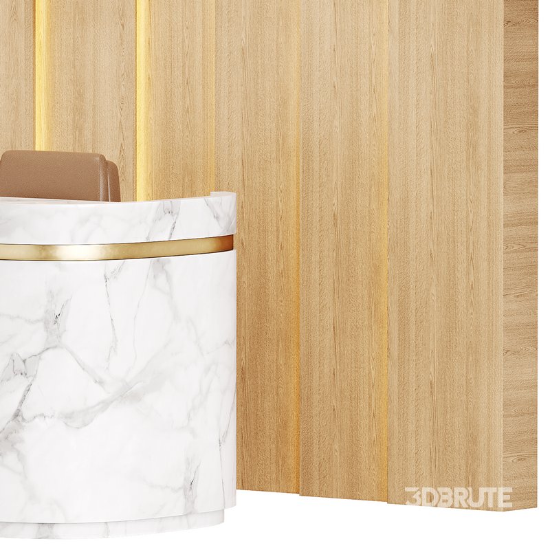 Contemporary Reception 20 Image 11