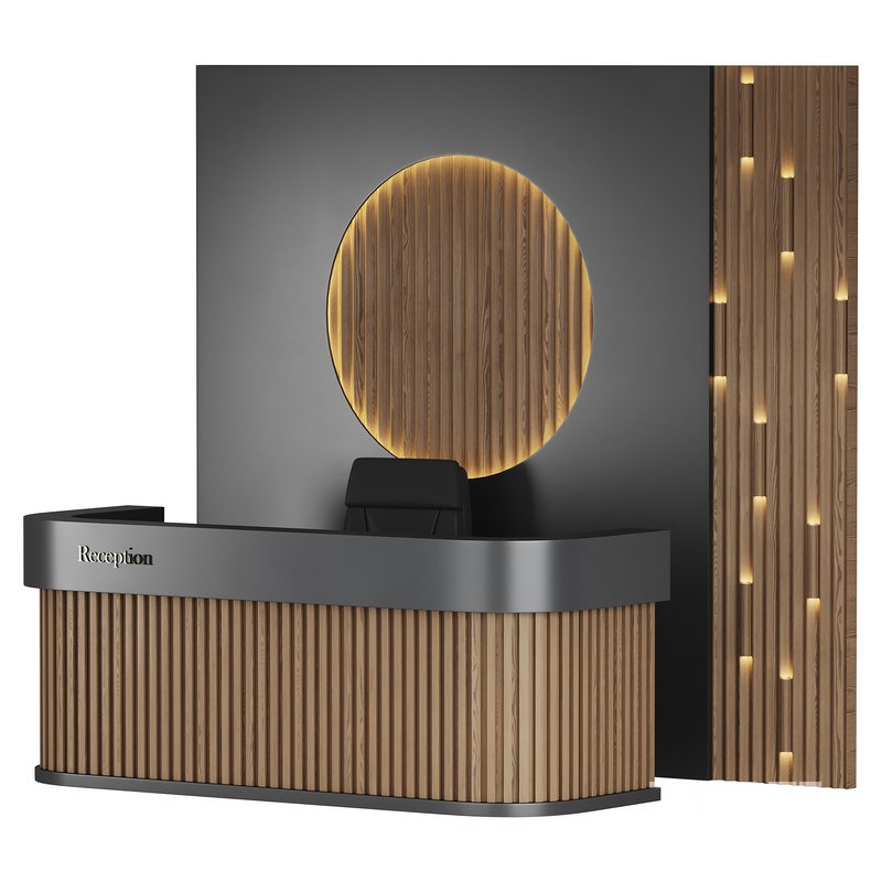 Contemporary Reception 01 Image 11