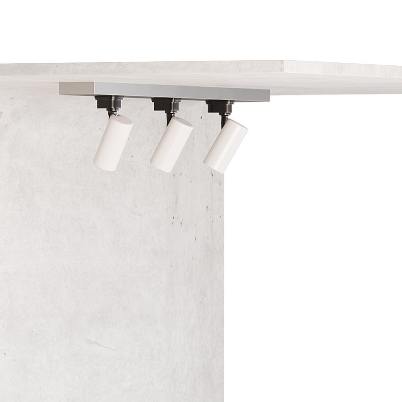 Contemporary Reception 12 Image 11