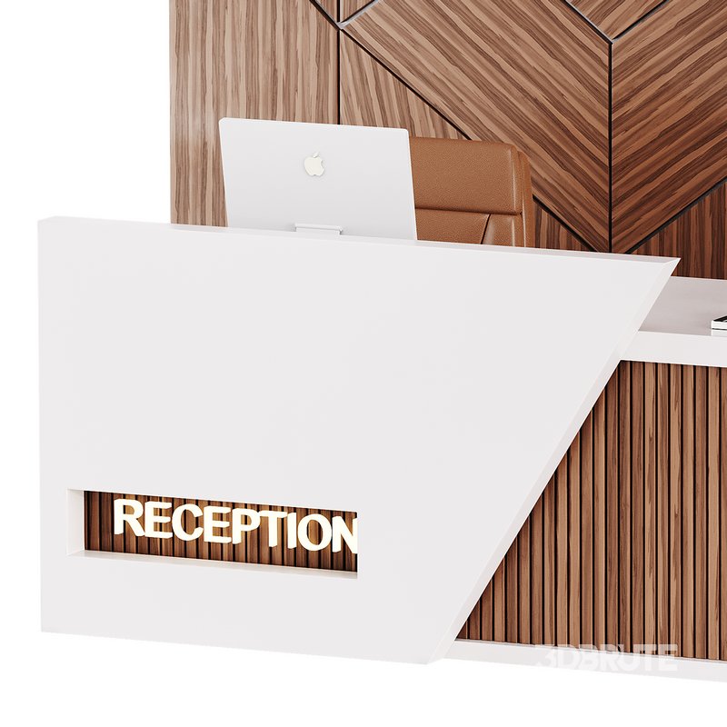 Contemporary Reception 13 Image 12