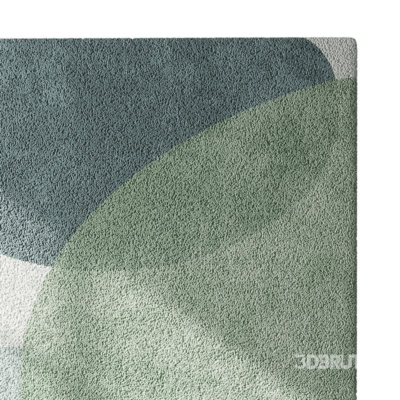 Carpet set 71 Image 13