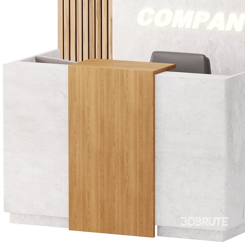 Contemporary Reception 08 Image 12