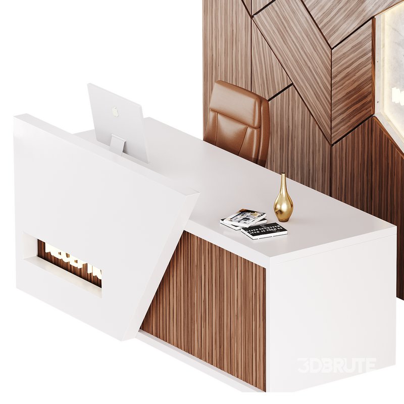 Contemporary Reception 13 Image 14