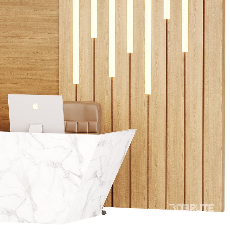 Contemporary Reception 19 Image 14