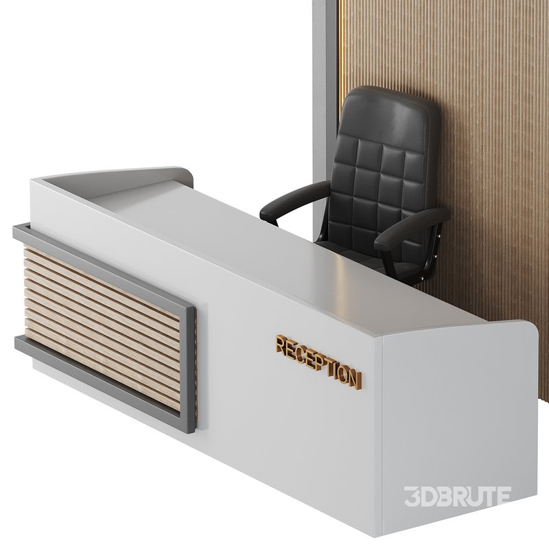 Contemporary Reception 03 Image 13