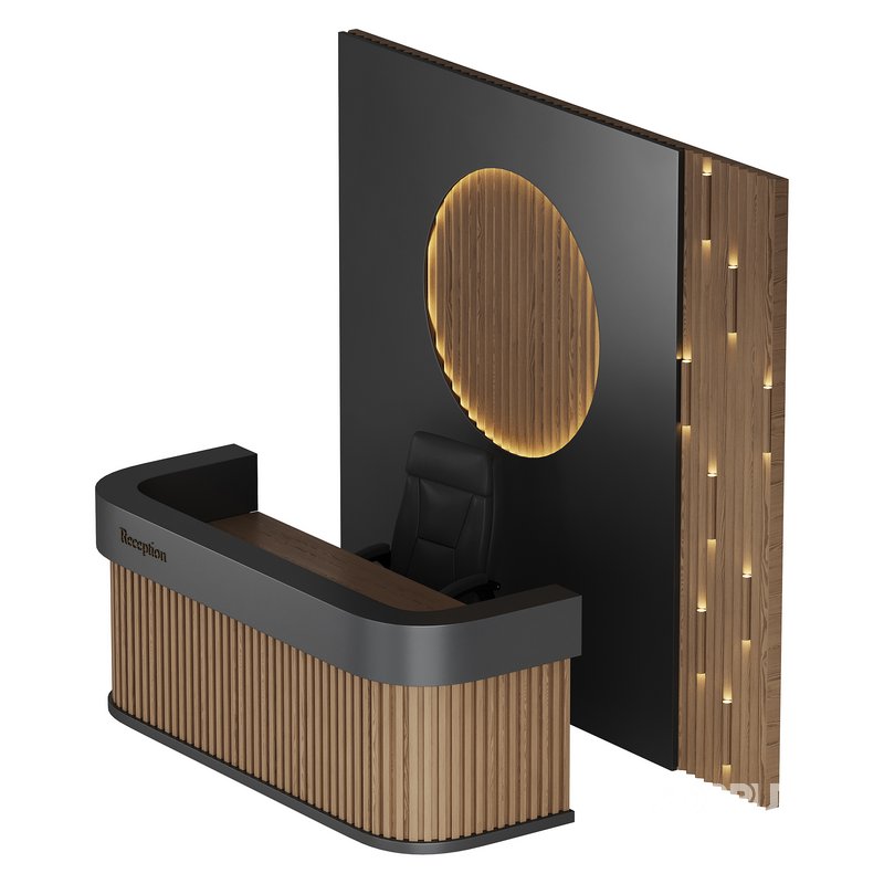 Contemporary Reception 01 Image 13