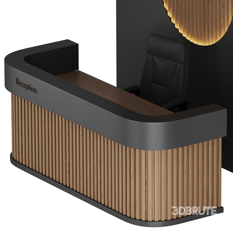 Contemporary Reception 01 Image 14