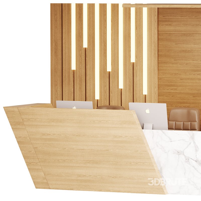 Contemporary Reception 19 Image 15