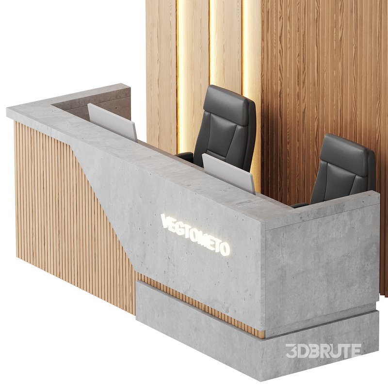 Contemporary Reception 06 Image 15