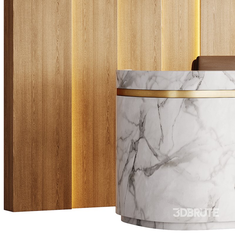 Contemporary Reception 20 Image 2