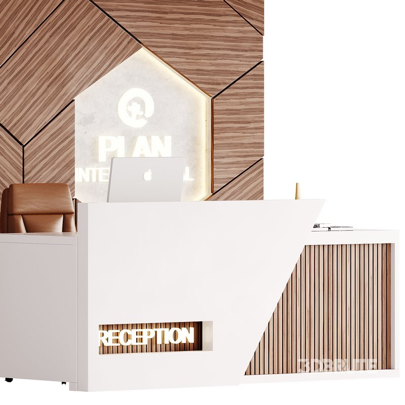 Contemporary Reception 13 Image 2